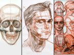 Charles Hu - Structure of the Head