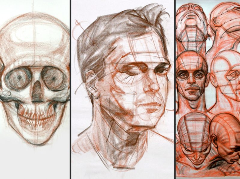 Charles Hu - Structure of the Head