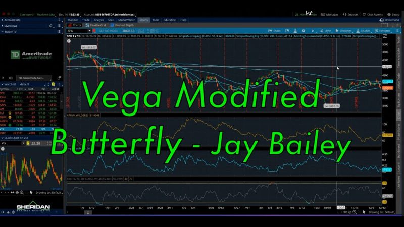 Deep Dive 2023: Jay Bailey’s Mango Butterfly