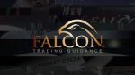 FALCON FX – TRADING COURSE