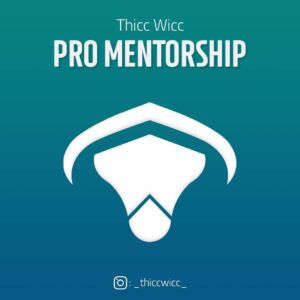 Thicc Wicc Pro Mentorship