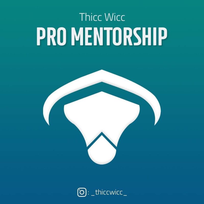 Thicc Wicc Pro Mentorship