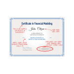 Breaking Into Wall Street – BIWS Bank & Financial Institution Modeling