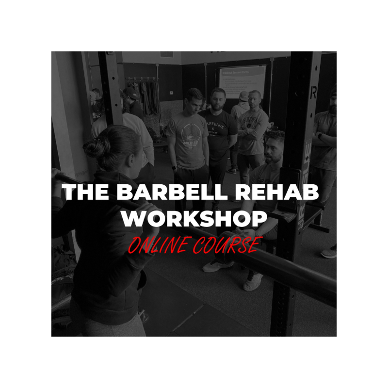 Michael Mash – The Barbell Rehab Workshop Online Course