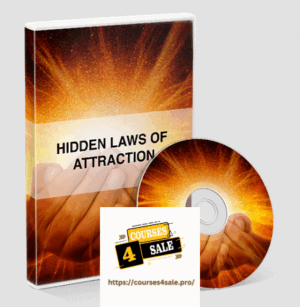 David Snyder - Hidden Laws Of Attraction