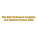 Big Bull Technical Analysis and Options Course 2022