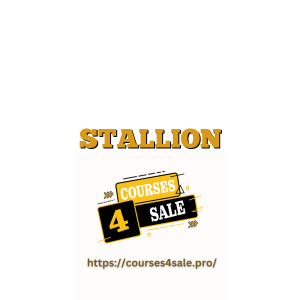 STALLION TRADING