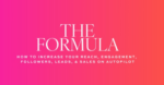 Rich Shy Girl - The Formula