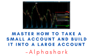 Alphashark – Master How to Take a Small Account and Build it Into a Large Account