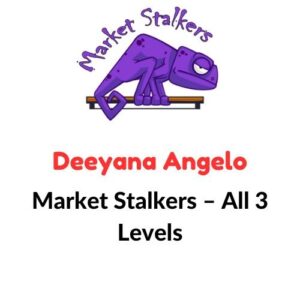 Market Stalkers – All 3 Levels