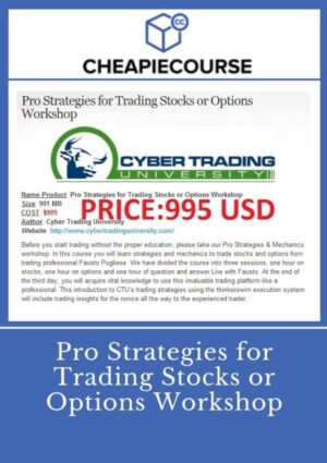 Pro Strategies for Trading Stocks or Options Workshop
