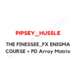 The Finesee FX Enigma Course