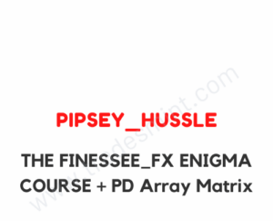 The Finesee FX Enigma Course
