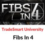 TradeSmart University – Fibs In 4